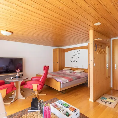 公寓 Baerefalli Eiger Panorama *