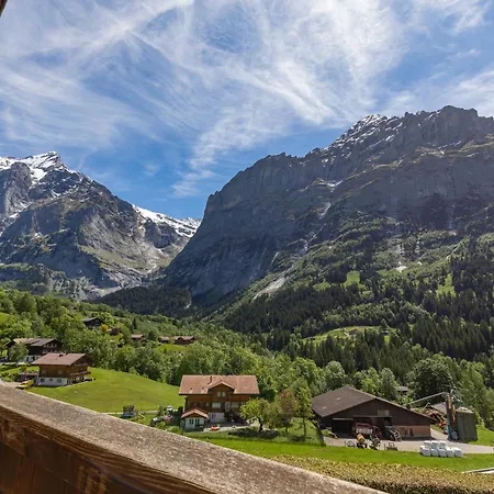 Baerefalli Eiger Panorama
