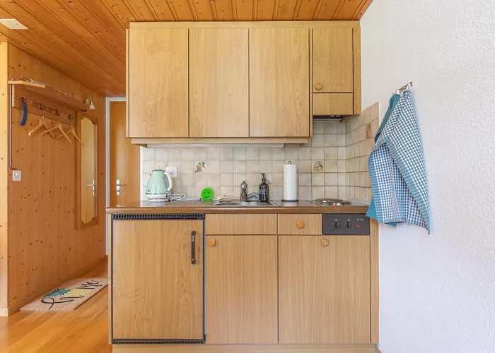 Bärefalli Eiger Panorama Grindelwald